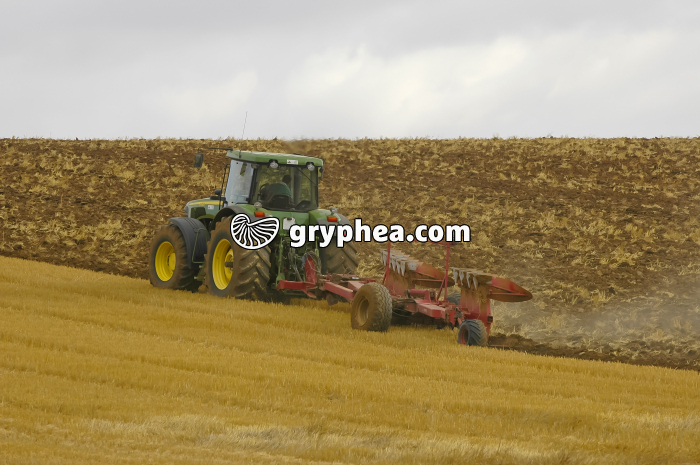 Labour d'un champ de Blé - gryphea.org